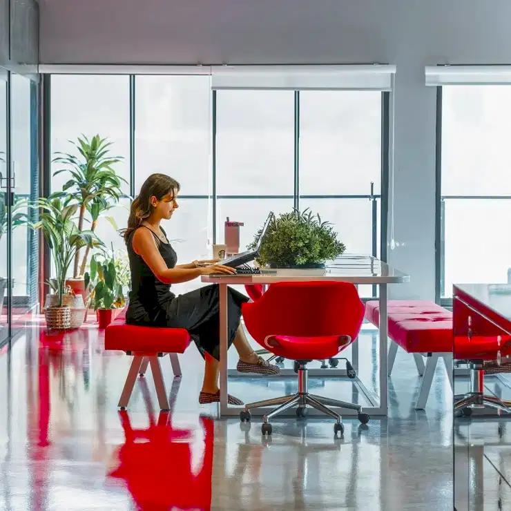 Sanal Ofis Çözümleri ve Ortak Çalışma Alanlarının Yükselişi